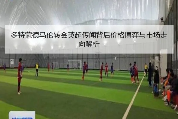 多特蒙德马伦转会英超传闻背后价格博弈与市场走向解析